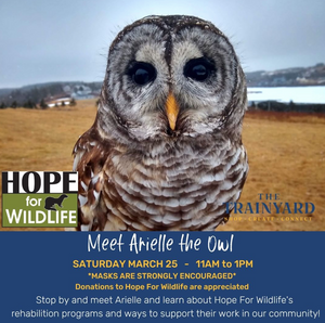 Hope for Wildlife Returns - Saturday March 25