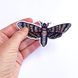 Hawk Moth Vinyl Sticker 4.25"w