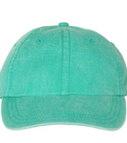 Goose Twill Hat - Aqua