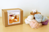 Needle Felting DIY Starter Kit for Beginners
