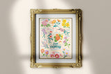 Edible Flowers 11x14 Art Print