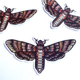 Hawk Moth Vinyl Sticker 4.25"w