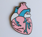 Anatomical Pride Heart Enamel Pin - Assorted Flags