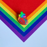 Anatomical Pride Heart Enamel Pin - Assorted Flags