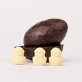 Hollow Chocolate Egg with Chicks