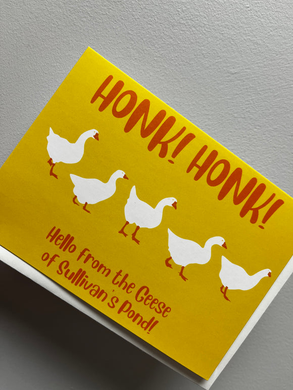 Honk! Honk! Sullivan's Pond Geese Greeting Card