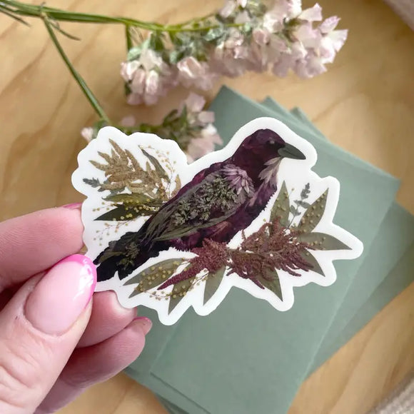 Pressed Flower Crow Sticker