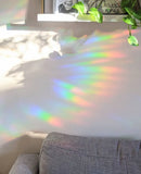 Ginkgo Leaves Mini Suncatchers | Prismatic Window Stickers