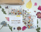 Garden Inspired Note Card Set