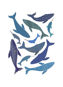 Whales art print