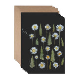 Wild Daisies, Note Card Set