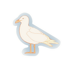 Nova Scotia Gull Sticker