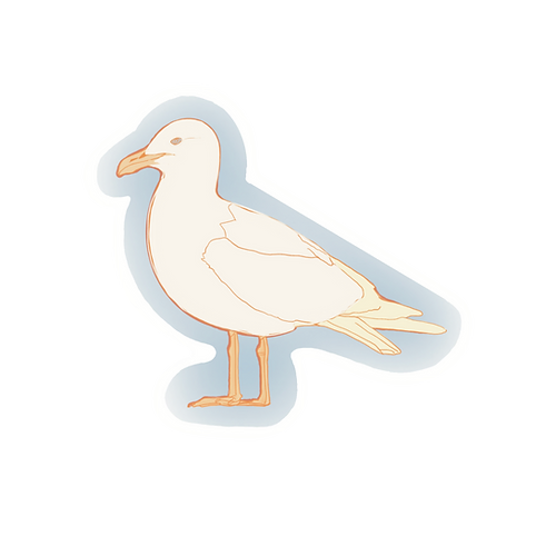 Nova Scotia Gull Sticker