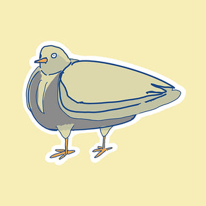 Pea Brain Pigeon Sticker