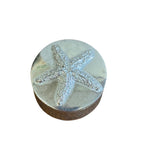 Starfish Earrings in Pewter Container