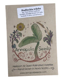 Rudbeckia Triloba Seeds