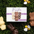 Chocolate Bunnies - 3 pack