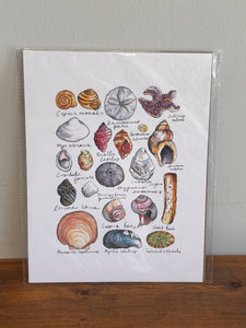 Invertebrates of the East Coast Art Print