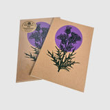 Nova Scotia Thistle Journal