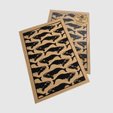 Whale Pod Journal