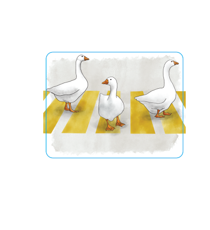 Sullivan's Pond Geese In Crosswalk Sticker