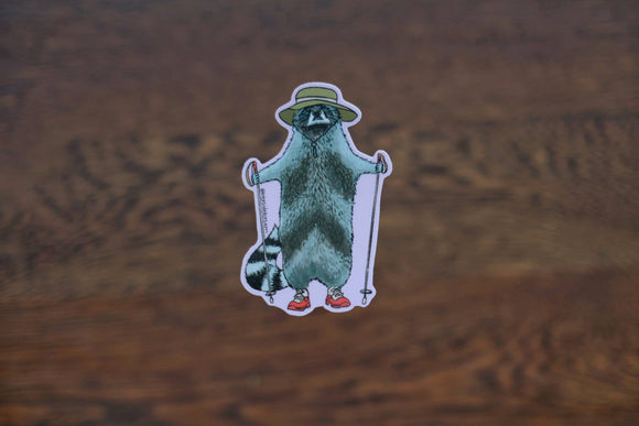 Hiking Raccoon 3