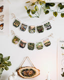 Cottage Garland | Set of 2 Botanical Paper Garlands