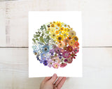 Colour Wheel- Pressed Flower Print: 8x10
