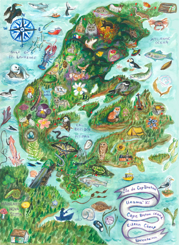 Island of Fog Unama'ki Art Print
