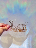 Snail Suncatcher, Window Sticker - Rainbow Maker