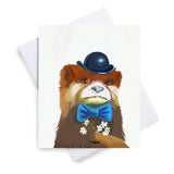 Animal Card Boxed Set