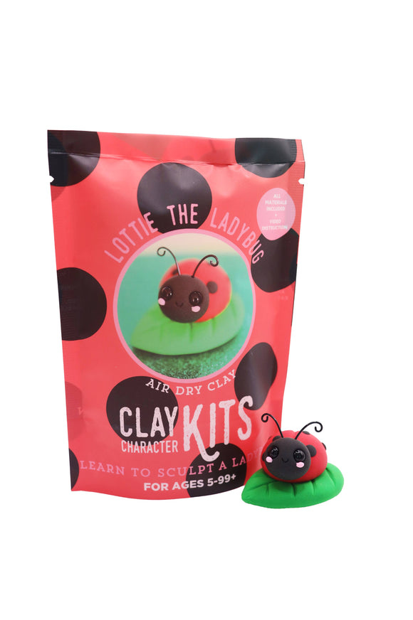 Ladybug DIY Air Dry Clay Kit