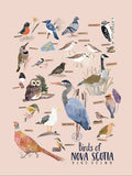 Birds of NS Poster