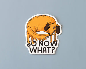 So Now What Vinyl Sticker