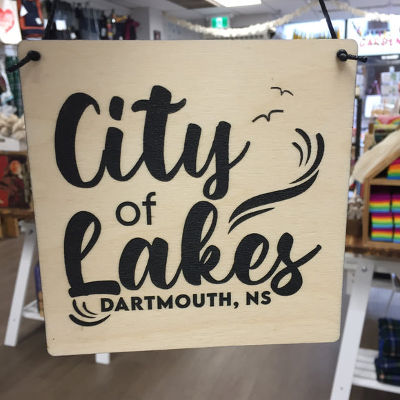 City Of Lakes Dartmouth Banner- Birds