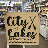 City Of Lakes Banner -Paddles