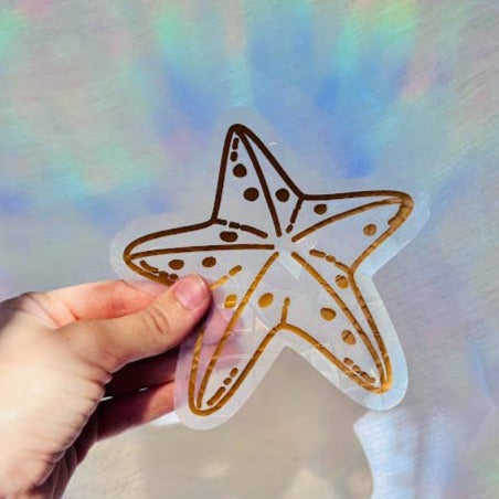 Transparent Starfish sticker is held up from the left of the image by a hand