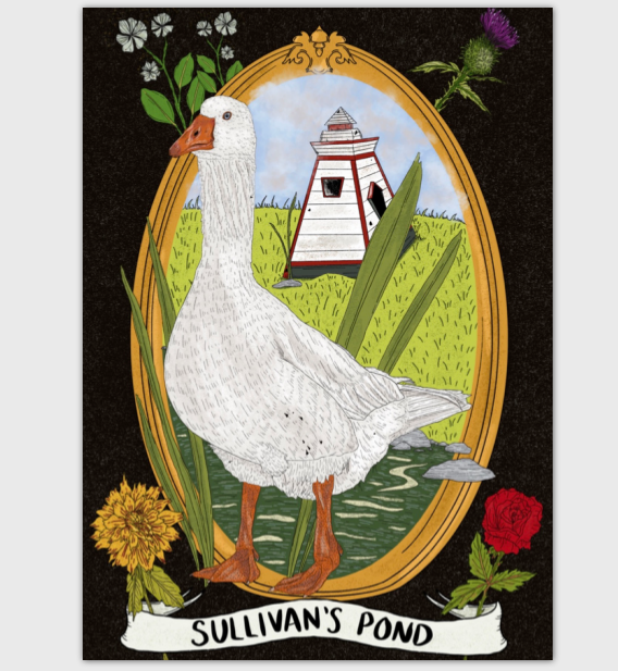 Sullivan's Pond Goose Postcard - 5x7