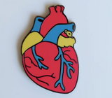 Anatomical Pride Heart Enamel Pin - Assorted Flags