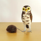 Burrowing Owl Needle Felting DIY Kit